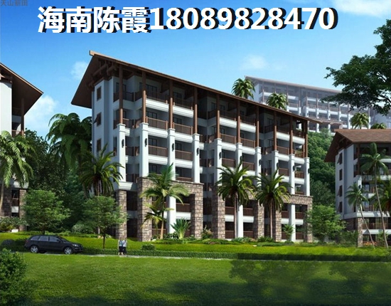枣阳中鑫公园世家 一居  户型图